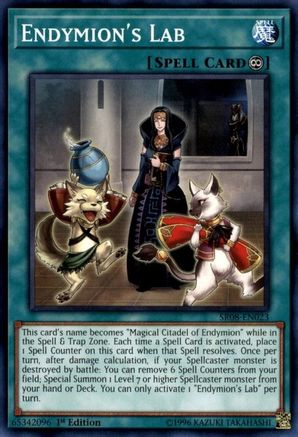 Endymion's Lab (SR08-EN023) - Structure Deck: Order of the Spellcasters 1st Edition