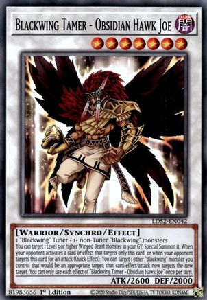 Blackwing Tamer - Obsidian Hawk Joe (LDS2-EN042) - Legendary Duelists: Season 2 1st Edition
