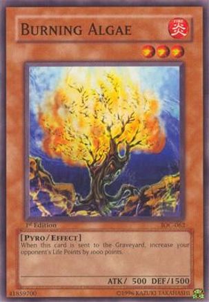 Burning Algae (IOC-062) - Invasion of Chaos Unlimited