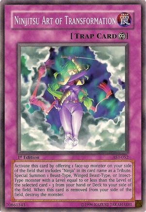 Ninjitsu Art of Transformation (AST-052) - Ancient Sanctuary Unlimited