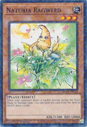 Naturia Ragweed (Duel Terminal) (HAC1-EN114) - Hidden Arsenal: Chapter 1 1st Edition