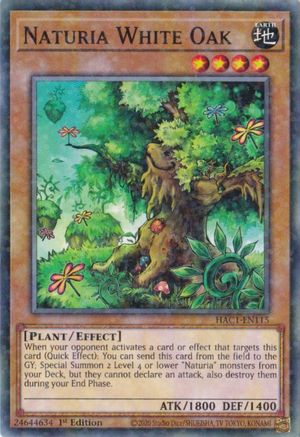 Naturia White Oak (Duel Terminal) (HAC1-EN115) - Hidden Arsenal: Chapter 1 1st Edition