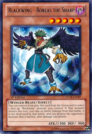 Blackwing - Boreas the Sharp (STOR-EN007) - Storm of Ragnarok 1st Edition