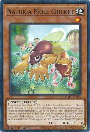 Naturia Mole Cricket (DABL-EN020) - Darkwing Blast 1st Edition
