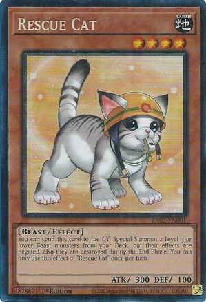 Rescue Cat (Alternate Art) (PCR) (RA02-EN001) - 25th Anniversary Rarity Collection II 1st Edition