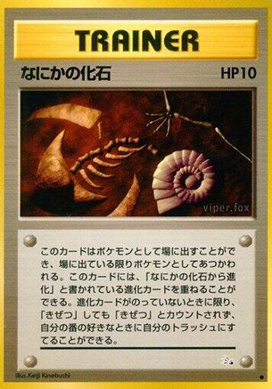 Mysterious Fossil  - Mystery of the Fossils