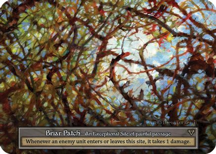 Briar Patch (Foil)  - Arthurian Legends Foil