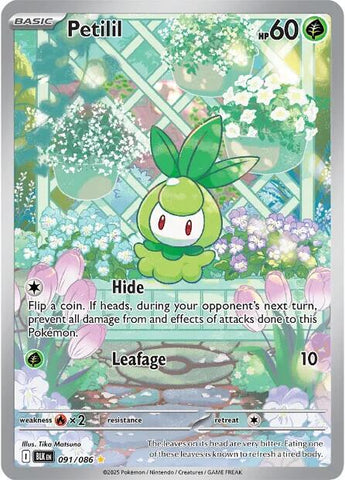 Petilil (091/086) [Scarlet & Violet: Black Bolt]