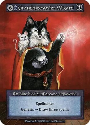 Grandmeowster Wizard  - Welcome Kit Promos