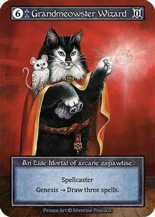 Grandmeowster Wizard (Foil)  - Welcome Kit Promos Foil