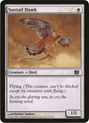 Suntail Hawk (Oversized) [Eighth Edition Box Topper]