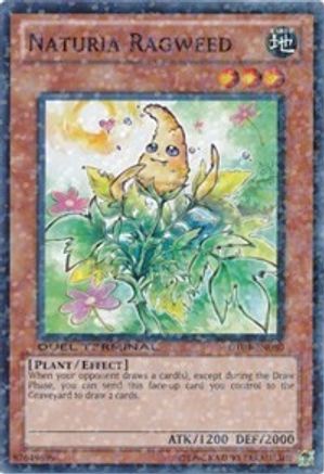 Naturia Ragweed (DT04-EN080) - Duel Terminal 4 Limited