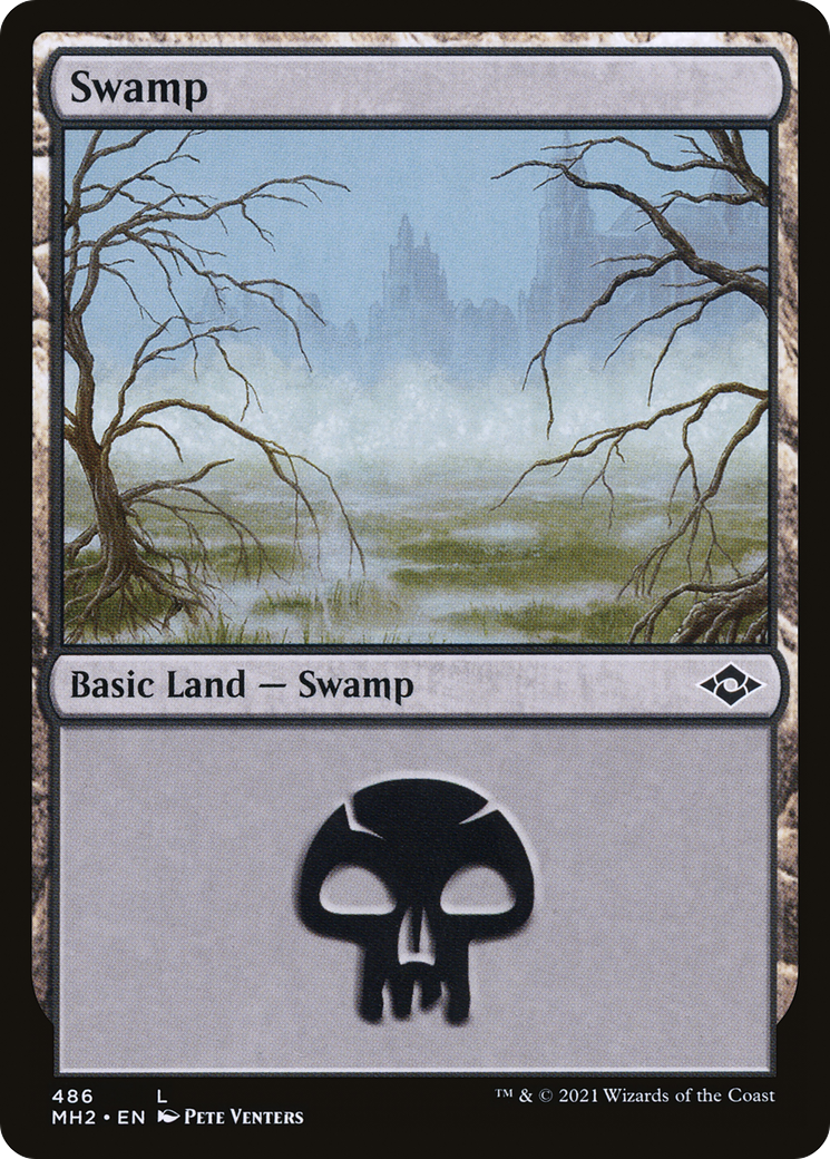 Swamp (486) (Foil Etched) [Modern Horizons 2]