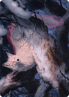 Mila, Crafty Companion // Mila, Crafty Companion (ASTX-034) - Strixhaven Art Series (Borderless)