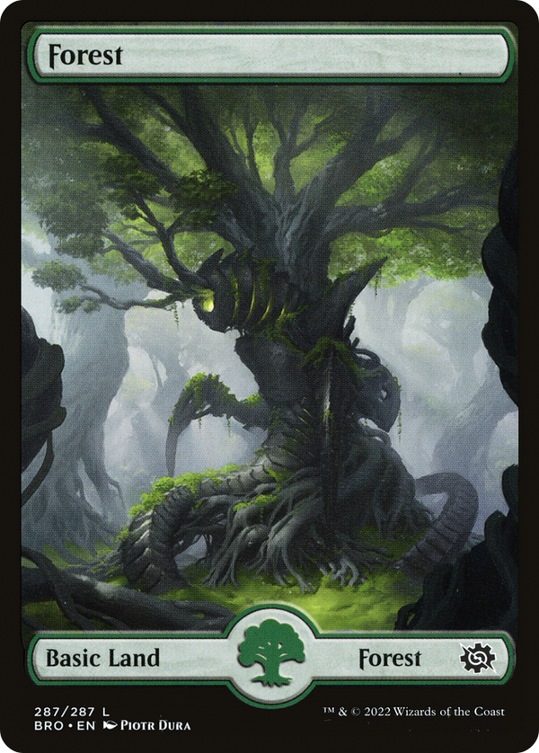 Forest (287) [The Brothers' War]