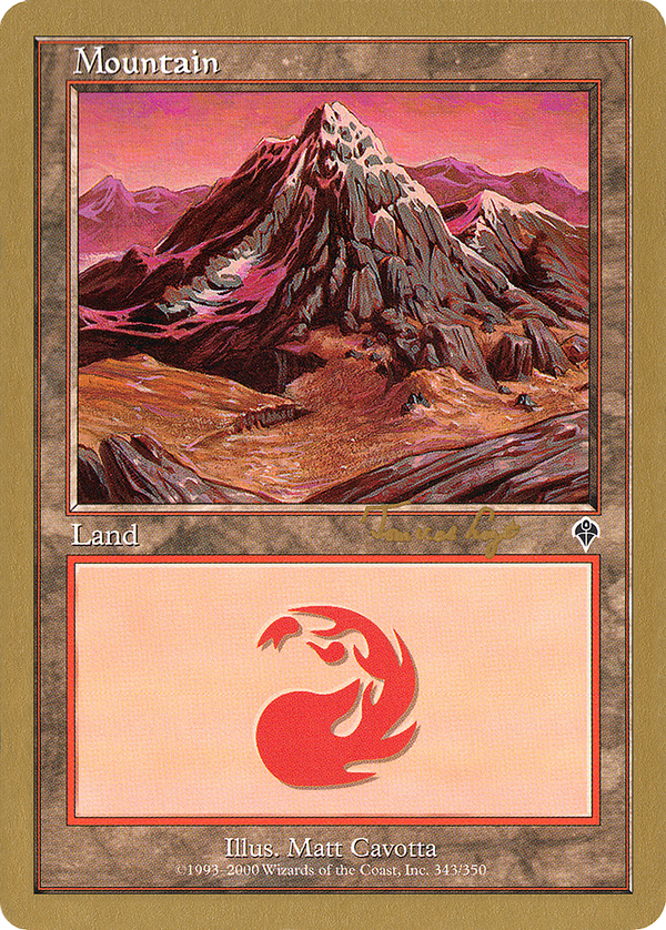 Mountain (tvdl343) (Tom van de Logt) [World Championship Decks 2001]