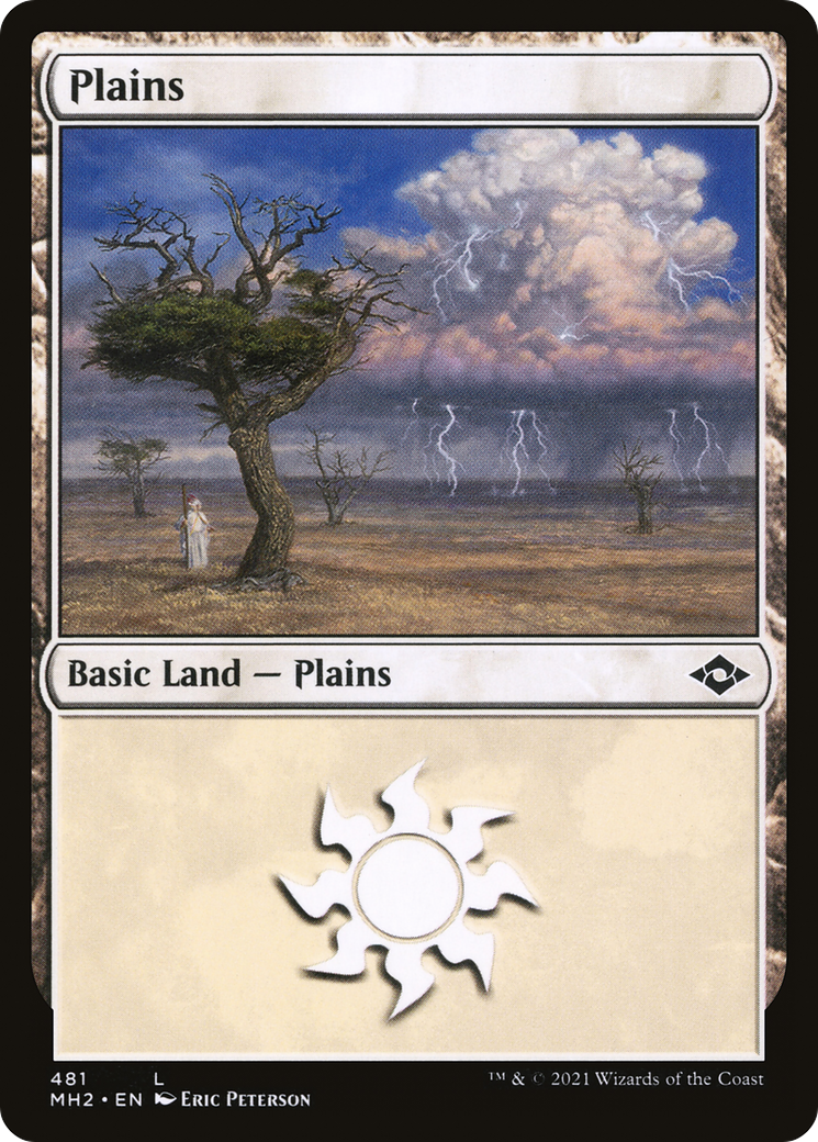 Plains (481) (Foil Etched) [Modern Horizons 2]