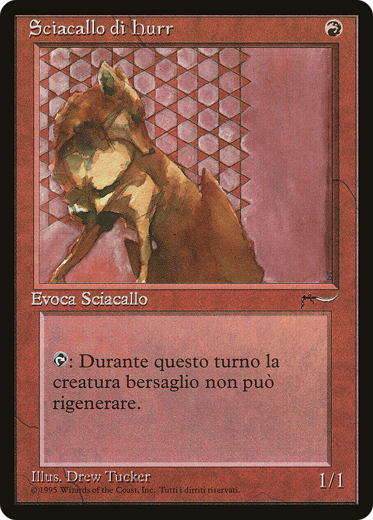 Hurr Jackal (Italian) - 